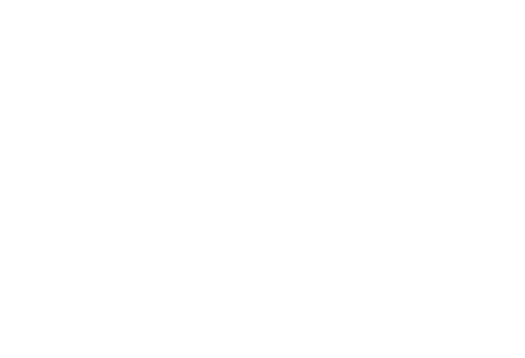 PPIB Logo White SM v1